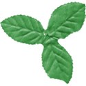 cwJOY-ClassicChristmas-leaves2