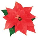cwJOY-ClassicChristmas-flower5