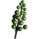 cwJOY-TraditionalChristmas-berries4