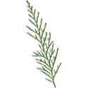 cwJOY-TraditionalChristmas-branch1