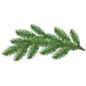 cwJOY-TraditionalChristmas-branch2