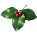 cwJOY-TraditionalChristmas-branch3