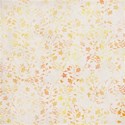SCD_YouAreHere_paper15