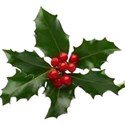 chey0kota_December_Element (10)