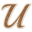 cwJOY-AYear sMemories-Alpha1-UC-U