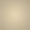 cwJOY-AYear sMemories-PP10