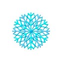A snowflake