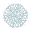 B5 snowflake