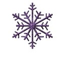 C2 snowflake