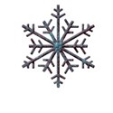 C4 snowflake