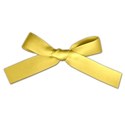 schua_goodluck_tied
