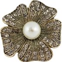 cwJOY-AYear sMemories-flower1