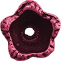 cwJOY-AYear sMemories-flower10