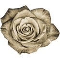 cwJOY-AYear sMemories-flower13