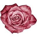 cwJOY-AYear sMemories-flower14