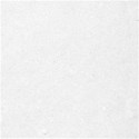 bgsolidwhite