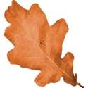 cwJOY-AYear sMemories-leaf5