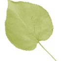 cwJOY-AYear sMemories-leaf6