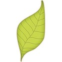 cwJOY-AYear sMemories-leaf8