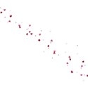 cwJOY-AYear sMemories-scatter5