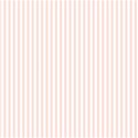 Striped_Pale Pink