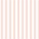 Striped_Pale Pink