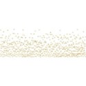 Glitter Confetti borders16