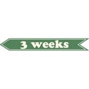 cwJOY-Baby1stYear-Boy-Tag-3wk
