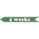 cwJOY-Baby1stYear-Boy-Tag-4wk