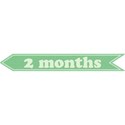 cwJOY-Baby1stYear-Boy-Tag-2mo