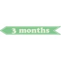 cwJOY-Baby1stYear-Boy-Tag-3mo