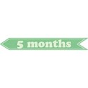 cwJOY-Baby1stYear-Boy-Tag-5mo