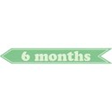 cwJOY-Baby1stYear-Boy-Tag-6mo