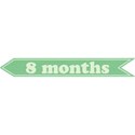 cwJOY-Baby1stYear-Boy-Tag-8mo