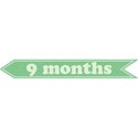 cwJOY-Baby1stYear-Boy-Tag-9mo