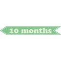 cwJOY-Baby1stYear-Boy-Tag-10mo