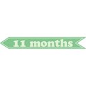 cwJOY-Baby1stYear-Boy-Tag-11mo