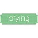 cwJOY-Baby1stYear-Boy-wordbits-crying