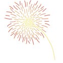 fireworks6