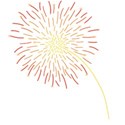 fireworks6