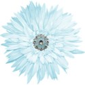 aw_winterblues_flower 6