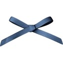 aw_flakey_bow navy