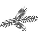 aw_flakey_branch gray