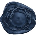 aw_flakey_burnt edge flower navy