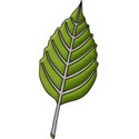 aw_flakey_leaf