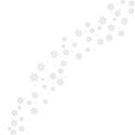 aw_flakey_snowflake scatter 3