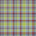 aw_flaky_plaid 1