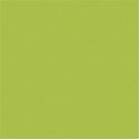 aw_flaky_textured green