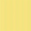 DarkYellow_Stripe