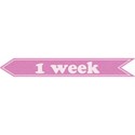 cwJOY-Baby1stYear-Girl-Tag-1wk